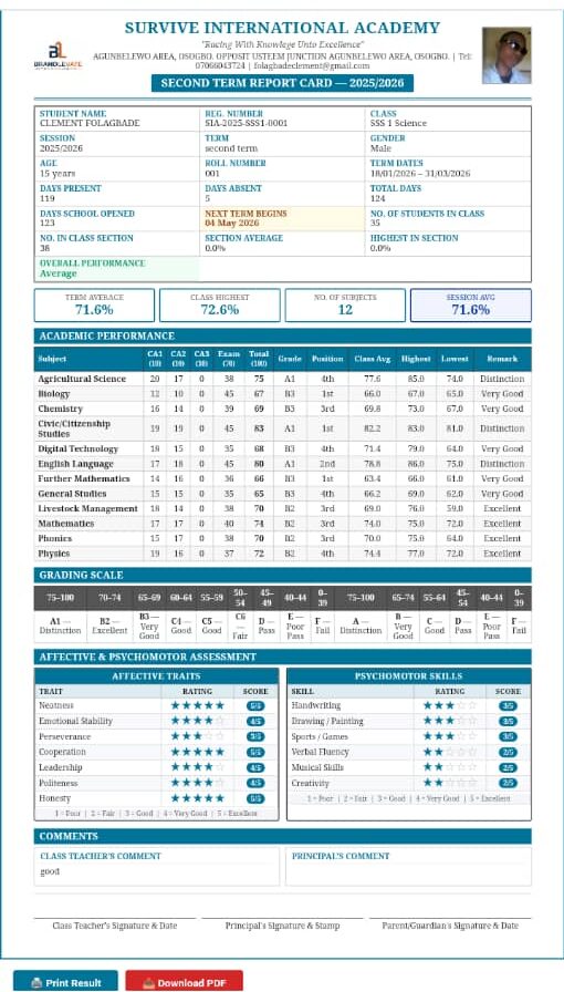Elegant report sheet – official student report card with subject scores, grades, class position and teacher remarks